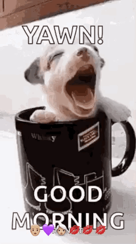 A Puppy Is Yawning In A Coffee Mug With The Words `` Yawn ! Good Morning '' . GIF