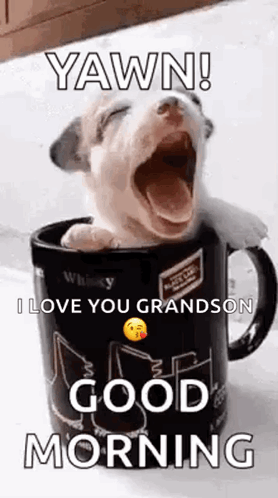 A Puppy Is Yawning In A Cup Of Whiskey . GIF