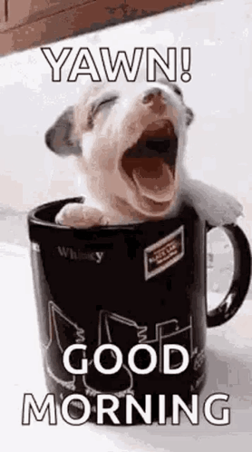 A Puppy Is Yawning While Sitting In A Coffee Mug . GIF