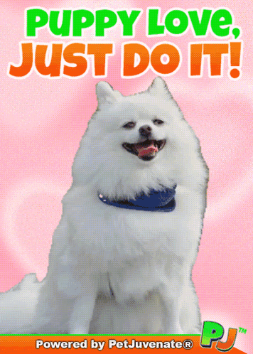 a puppy love just do it poster with a white pomeranian