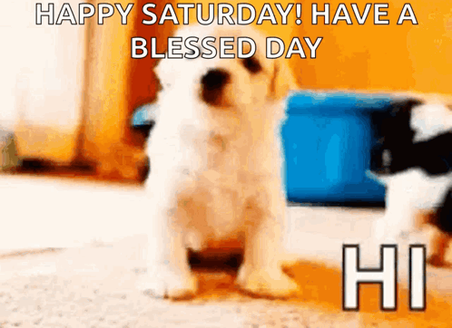 a puppy says happy saturday have a blessed day