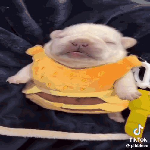 A Puppy Wearing A Hamburger Costume Is Sleeping GIF