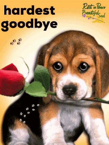 A Puppy With A Rose In Its Mouth And The Words " Hardest Goodbye " On The Bottom GIF