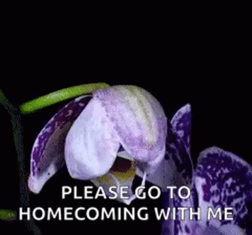 A Purple And White Flower With The Words Please Go To Homecoming With Me GIF
