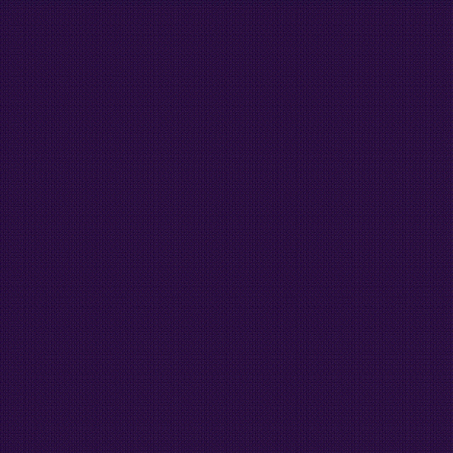 a purple background with white text that says ' racadinho importante para você '