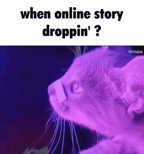 A Purple Cat With A Bandage On Its Nose Is Looking At The Camera With The Words `` When Online Story Droppin ' ? '' GIF
