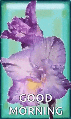A Purple Flower Is On A Blue Background With The Words `` Good Morning '' . GIF