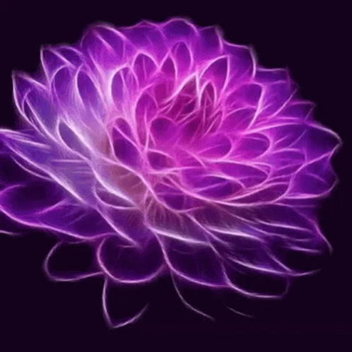 A Purple Flower With A Black Background And A Purple Center GIF