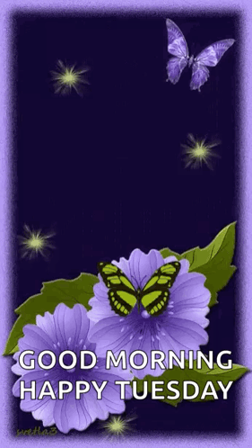 A Purple Flower With A Butterfly On It And The Words Good Morning Happy Tuesday GIF