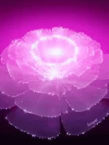 A Purple Flower With A Light Coming Out Of It GIF