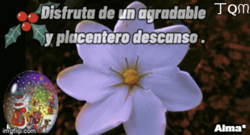 A Purple Flower With The Words Disfruta De Un Agradable Y Placentero Descanso GIF
