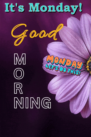 A Purple Flower With The Words It 'S Monday Good Morning On It GIF