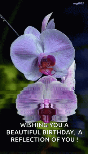 A Purple Flower With The Words Wishing You A Beautiful Birthday A Reflection Of You On It GIF