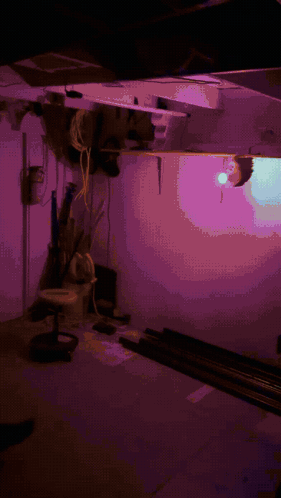 a purple room with a purple light on the wall