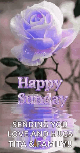A Purple Rose Is Floating In The Water With The Words `` Happy Sunday Sending You Love And Hugs Tita & Family ! '' GIF