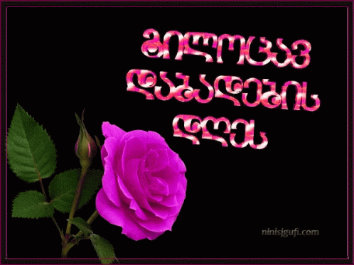 A Purple Rose Is In Front Of A Fireworks Display With The Website Ninisigufi.com Written Below It GIF