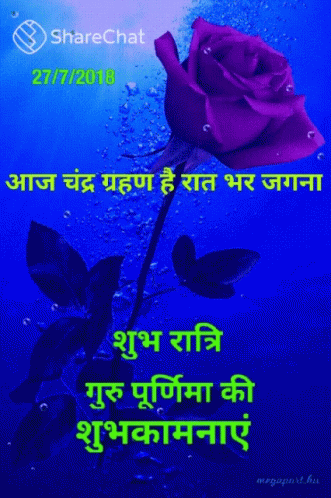 A Purple Rose On A Blue Background With The Date 27/7/2018 On It GIF