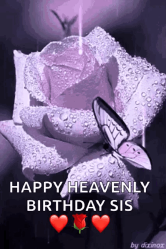 A Purple Rose With Water Drops On It And A Butterfly On It GIF