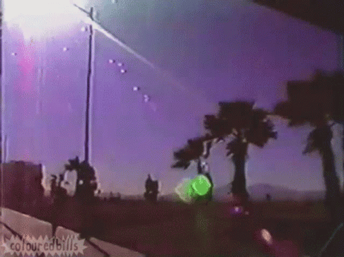 A Purple Sky With Palm Trees In The Foreground And The Words Colouredbills On The Bottom Right GIF