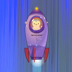 A Purple Spacex Rocket With A Penguin On The Front GIF