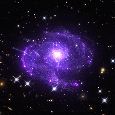 Purple Spiral Galaxy With Star In Center GIF