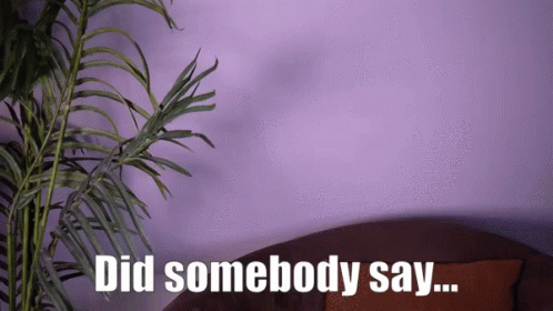 a purple wall with the words did somebody say on it