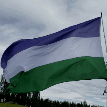 A Purple White And Green Flag Flies In The Wind GIF