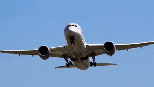 A Qatar Airplane Is Flying Through A Clear Blue Sky GIF
