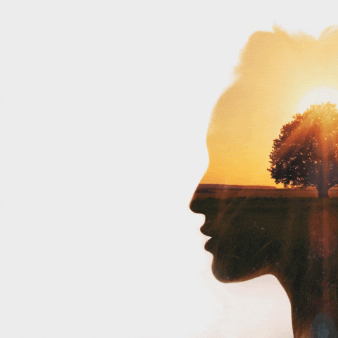 A Quote About A Single Idea Can Transform A World GIF