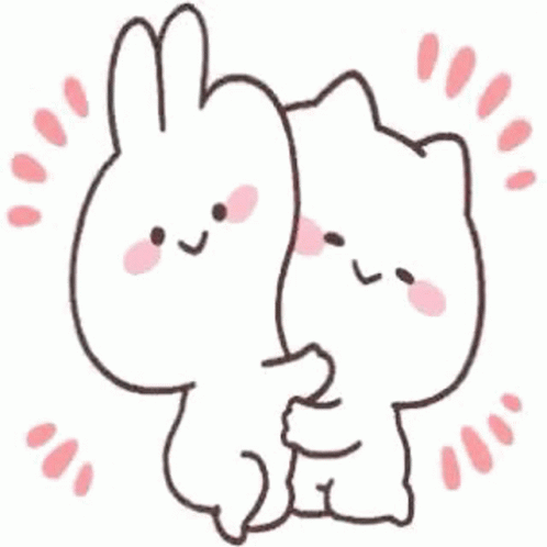A Rabbit And A Cat Hugging Each Other . GIF