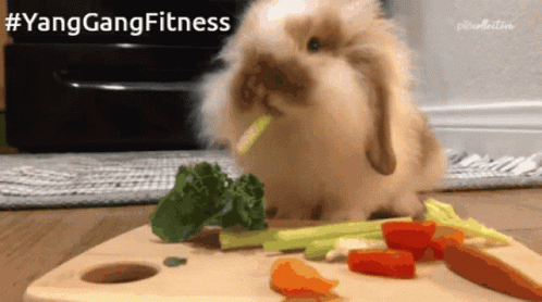 A Rabbit Eating Broccoli And Carrots On A Cutting Board With #Yanggangfitness Written Above It GIF