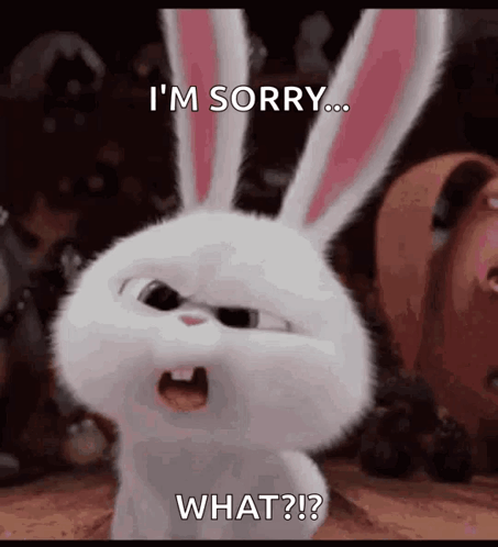 A Rabbit From The Secret Life Of Pets Is Angry And Says `` I 'M Sorry ... What ? '' GIF