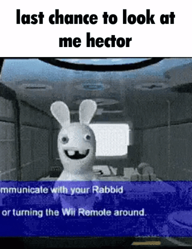 A Rabbit In A Video Game With The Words Last Chance To Look At Me Hector GIF