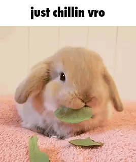 A Rabbit Is Eating A Leaf On A Pink Blanket . GIF