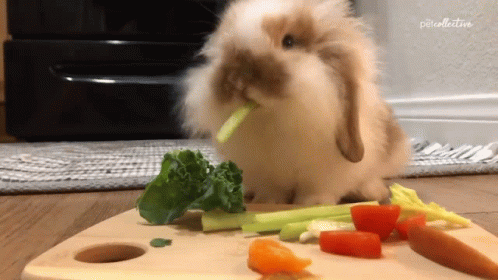 A Rabbit Is Eating Carrots And Kale On A Cutting Board .. GIF
