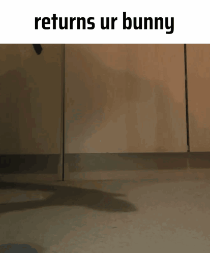 a rabbit is jumping in the air with the words returns ur bunny above it