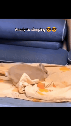 A Rabbit Is Laying On A Bed With The Words " Ready To Sleeping " Written Above It GIF