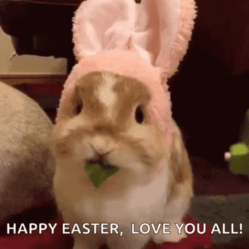 A Rabbit Wearing Bunny Ears Is Eating A Green Leaf GIF