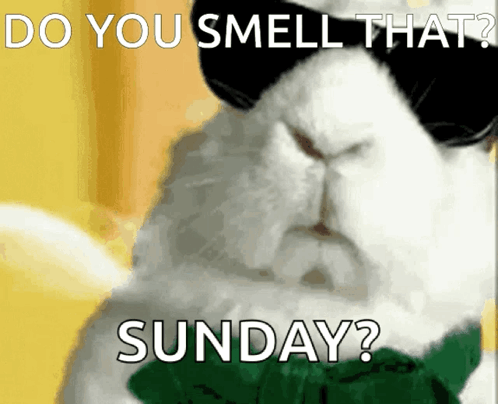 A Rabbit Wearing Sunglasses And A Green Bow Tie Is Asking If You Smell That Sunday GIF