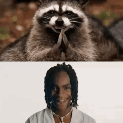 a raccoon and a man are sitting next to each other . the raccoon is praying and the man is smiling .