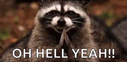 A Raccoon Is Holding A Piece Of Wood In Its Paws And Saying `` Oh Hell Yeah '' . GIF