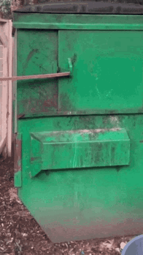 A Raccoon Is Looking Out Of A Green Dumpster GIF