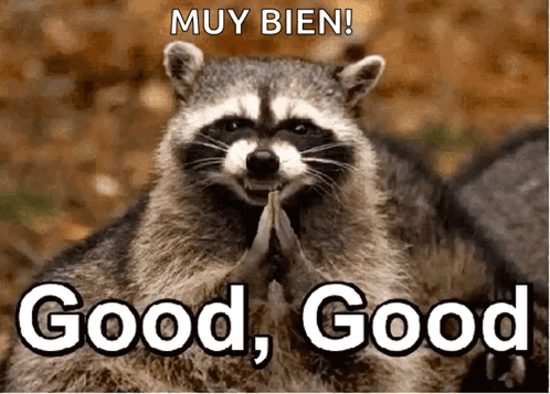 A Raccoon Is Praying With The Words Muy Bien Good Good Written Above It GIF