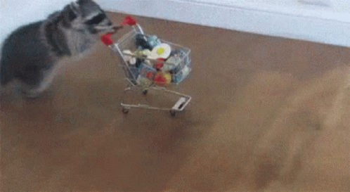 A Raccoon Is Pushing A Shopping Cart Full Of Food GIF