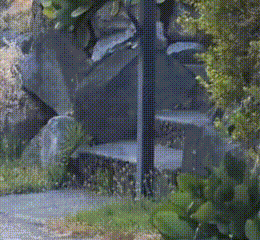 A Raccoon Is Running Through A Grassy Field Near A Road GIF