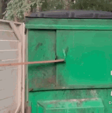 a raccoon is sitting in a green trash can on a leash .