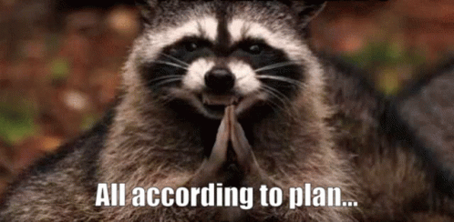 Raccoon Sitting With Hands Folded And All According To Plan Caption GIF