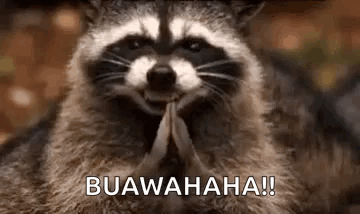 A Raccoon Is Smiling And Praying With Its Hands Folded In Prayer . GIF