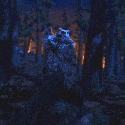 A Raccoon Is Standing In The Woods At Night GIF