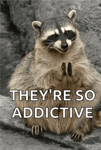 A Raccoon Sitting On A Rock With The Words They 'Re So Addictive GIF